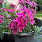 Brigantina Гостевой дом Солнечный берег