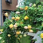 Гостевой дом Brigantina 3*