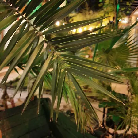 Гостьовий будинок Brigantina