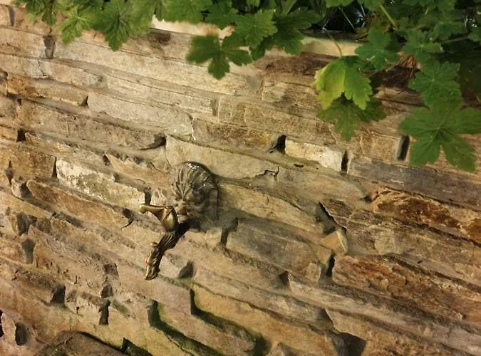 Pensjonat Brigantina Nesebyr